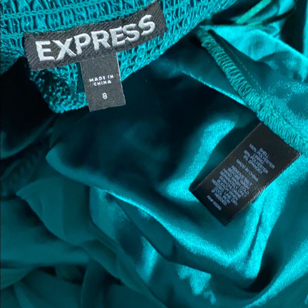 Express Dress - Picture 6 of 6